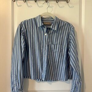 Everlane Blue Striped Cropped Shirt
